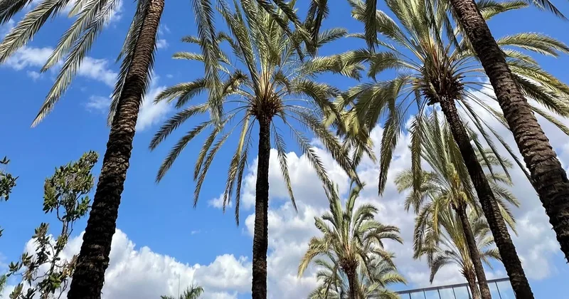 Weather in Paraguay: What the Climate Is Really Like