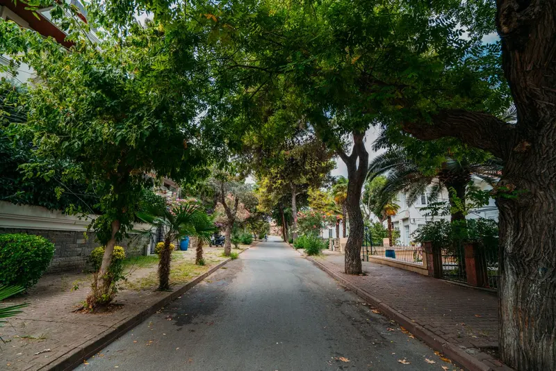 A quiet residential street in Recoleta, Asunción