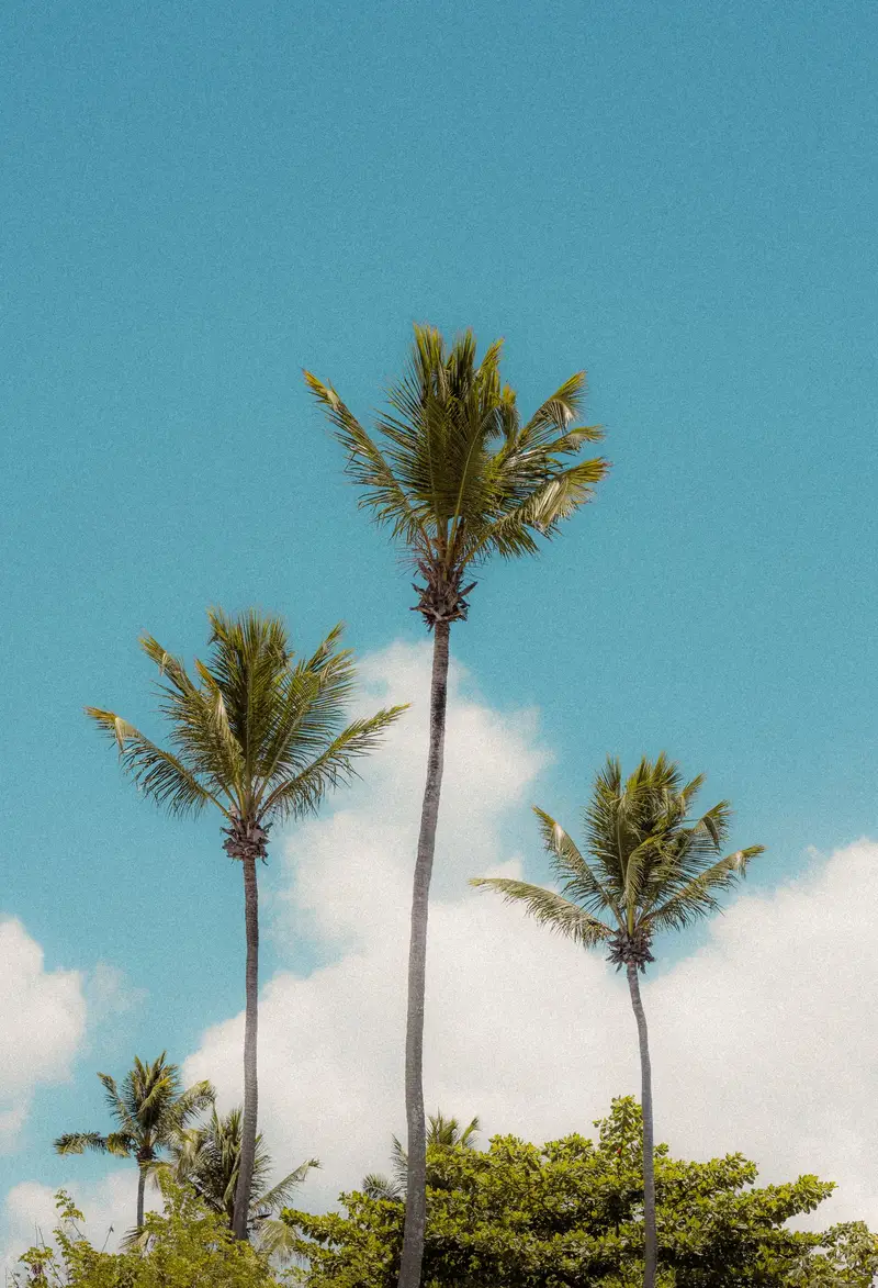 A sunny sky illustrating the weather in Paraguay