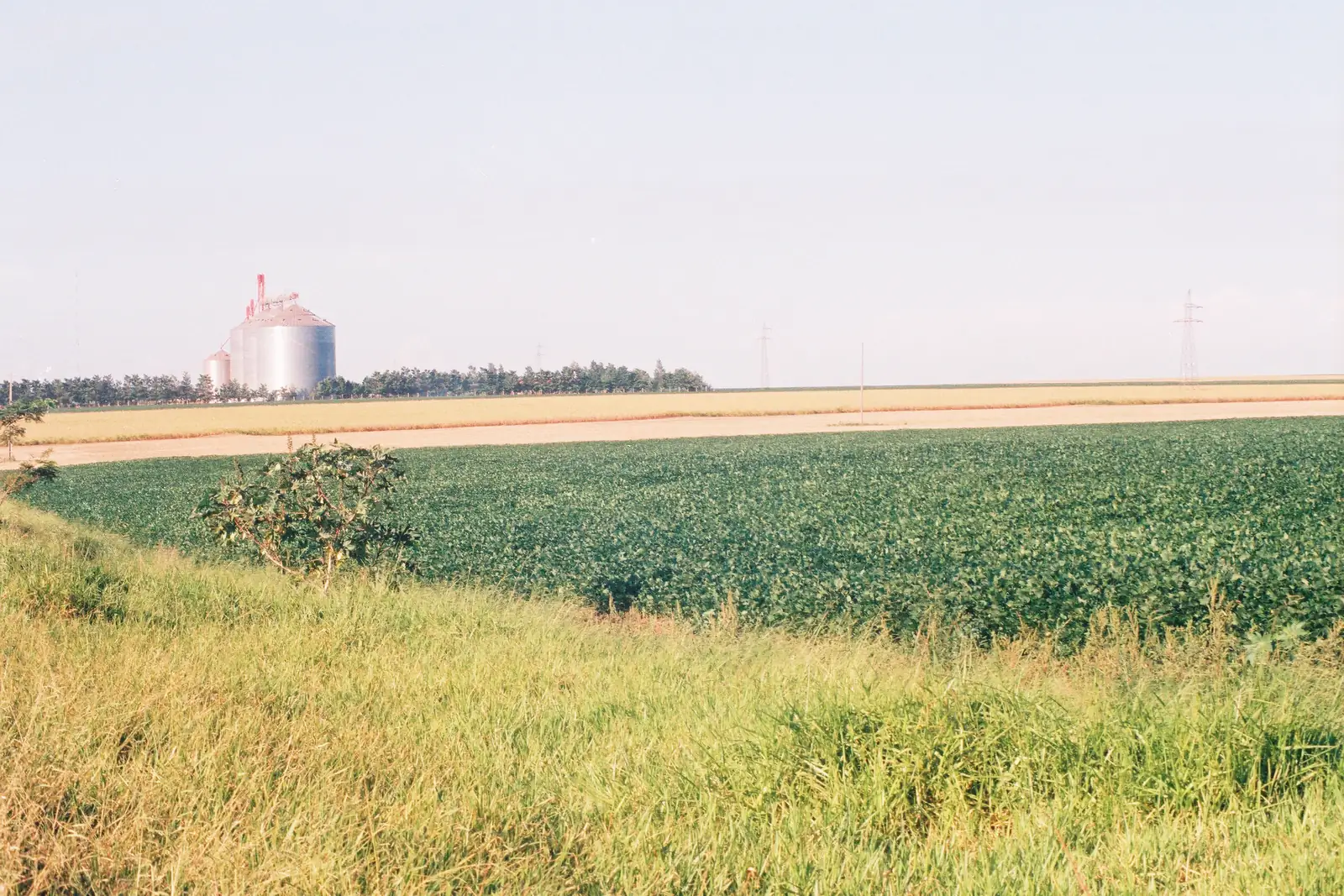 Soybean field and grain silos in eastern Paraguay, where farm work has its own sector minimum wage under Paraguay labor rules