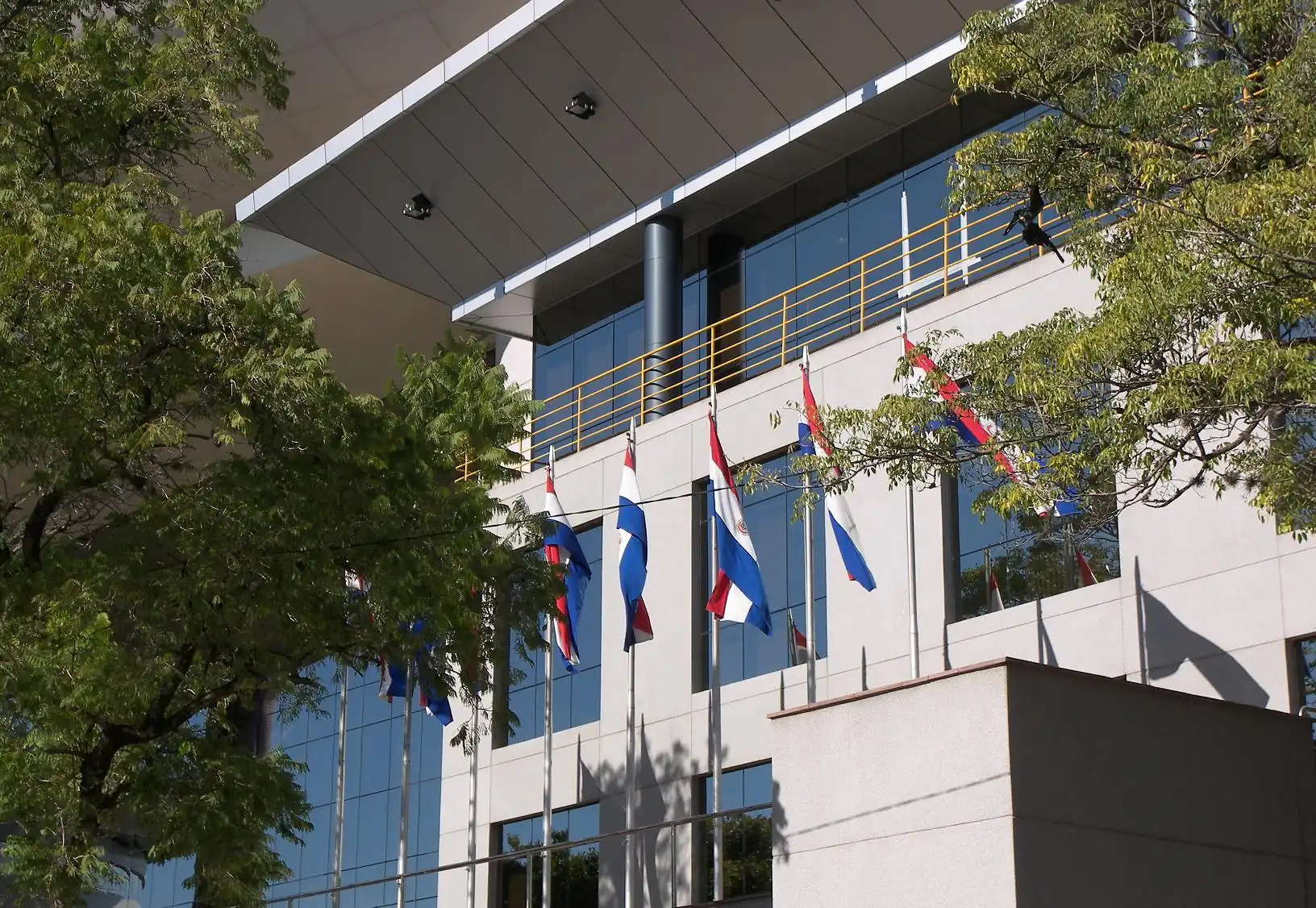 Paraguay Crypto Reporting Faces a Constitutional Objection